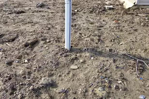 2136 Hoopersville Rd, Fishing Creek, MD 21634 - Photo 19