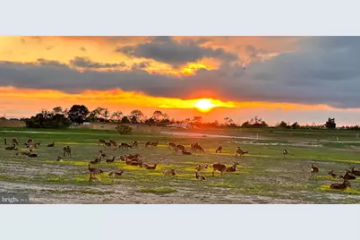 964 Taylors Island Road, Madison, MD 21648 - Photo 7