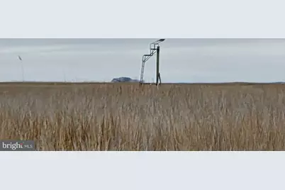 Duck, Sika & Waterfowl Muskrat Harbor, Crapo, MD 21626 - Photo 5