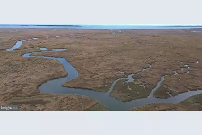 Duck, Sika & Waterfowl Muskrat Harbor, Crapo, MD 21626 - Photo 11