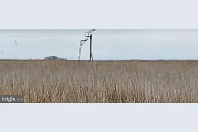 Duck, Sika & Waterfowl Muskrat Harbor, Crapo, MD 21626 - Photo 3