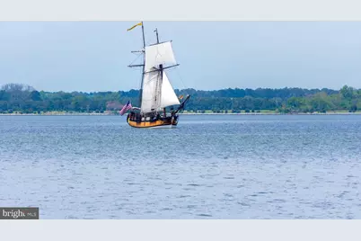 900 Marshy Cove #411, Cambridge, MD 21613 - Photo 39