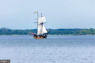 900 Marshy Cv, Cambridge, MD 21613 - Photo 39