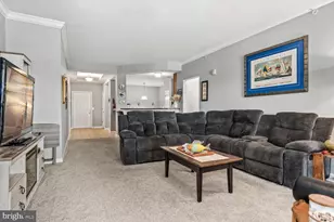 900 Marshy Cv, Cambridge, MD 21613 - Photo 11