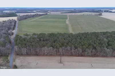 Bobtown Road, Hurlock, MD 21643 - Photo 1