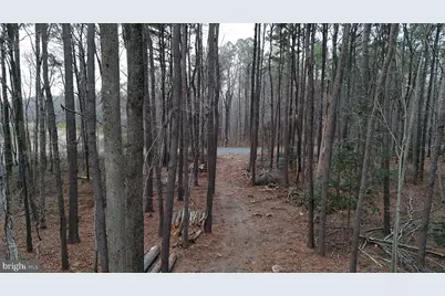 Bobtown Road, Hurlock, MD 21643 - Photo 19