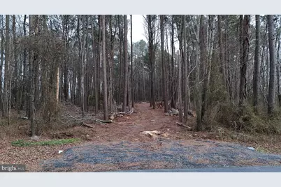 Bobtown Road, Hurlock, MD 21643 - Photo 17