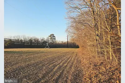 Bobtown Road, Hurlock, MD 21643 - Photo 15