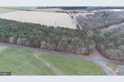Bobtown Road, Hurlock, MD 21643 - Photo 3