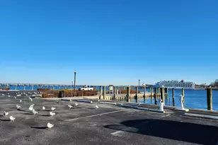 401 Wood Duck Dr, Cambridge, MD 21613 - Photo 21