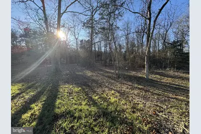 Williamsburg Road, East New Market, MD 21631 - Photo 3