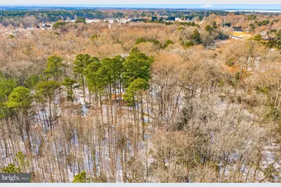 5675 Mount Holly Road, East New Market, MD 21631 - Photo 29