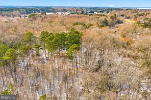 5675 Mt Holly Rd, East New Market, MD 21631 - Photo 29