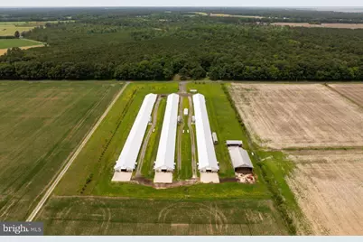 Beaver Neck Village Road, Cambridge, MD 21613 - Photo 3