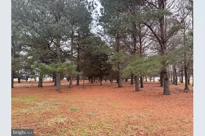 6565 Cabin Ridge Road, Hurlock, MD 21643 - Photo 3