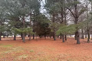 6565 Cabin Ridge Rd, Hurlock, MD 21643 - Photo 3