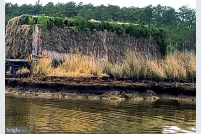 5419 Ragged Point Road, Cambridge, MD 21613 - Photo 9