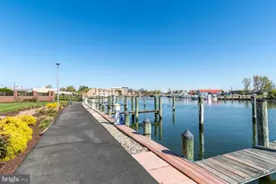 202 Muir St, Cambridge, MD 21613 - Photo 45