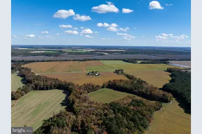 Indiantown Road, Rhodesdale, MD 21659 - Photo 13