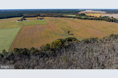 Indiantown Road, Rhodesdale, MD 21659 - Photo 5