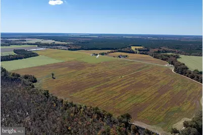 Indiantown Road, Rhodesdale, MD 21659 - Photo 7