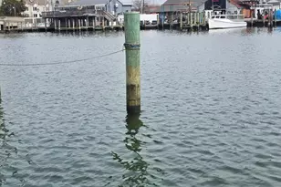 204 Market Square, Cambridge, MD 21613 - Photo 5