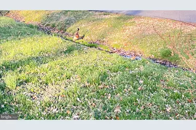 2203 Hambrooks Boulevard, Cambridge, MD 21613 - Photo 69