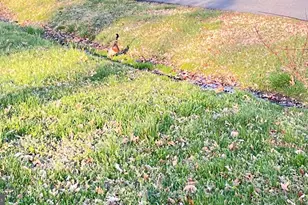 2203 Hambrooks Blvd, Cambridge, MD 21613 - Photo 69