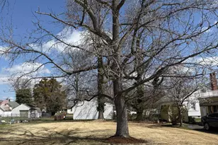 1101 Holland Ave, Cambridge, MD 21613 - Photo 1