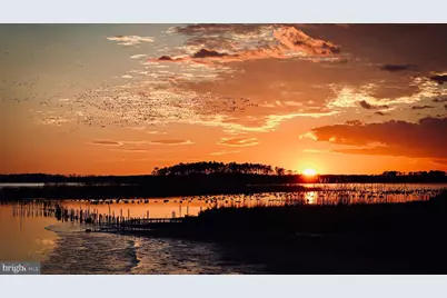 1101 Holland Avenue, Cambridge, MD 21613 - Photo 11