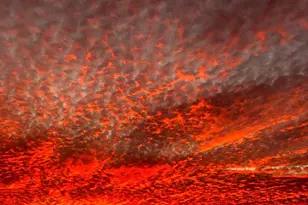 1252 Old Madison Rd, Madison, MD 21648 - Photo 87