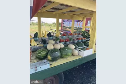 2703 Toddville Road, Toddville, MD 21672 - Photo 23