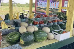 2703 Toddville Rd, Toddville, MD 21672 - Photo 23