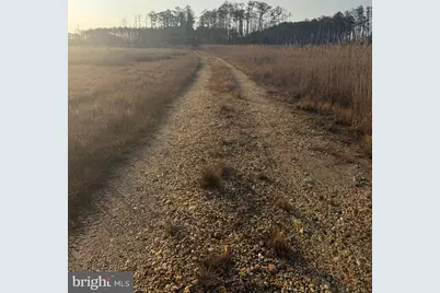 2373 Asquith Island Road, Crapo, MD 21626 - Photo 1