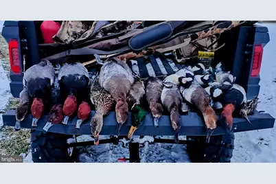 2373 Asquith Island Road, Crapo, MD 21626 - Photo 29