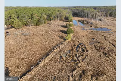 2373 Asquith Island Road, Crapo, MD 21626 - Photo 33