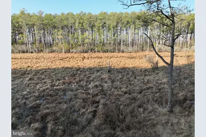 2373 Asquith Island Road, Crapo, MD 21626 - Photo 15