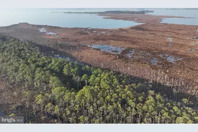 2373 Asquith Island Road, Crapo, MD 21626 - Photo 9