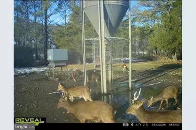 2373 Asquith Island Road, Crapo, MD 21626 - Photo 7