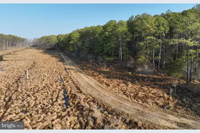 2373 Asquith Island Road, Crapo, MD 21626 - Photo 41