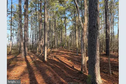 2373 Asquith Island Road, Crapo, MD 21626 - Photo 51