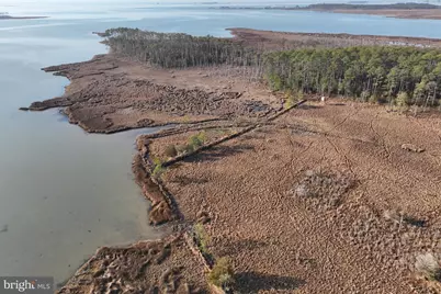 2373 Asquith Island Road, Crapo, MD 21626 - Photo 37