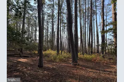 2373 Asquith Island Road, Crapo, MD 21626 - Photo 47