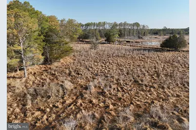 2373 Asquith Island Road, Crapo, MD 21626 - Photo 39