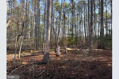 2373 Asquith Island Road, Crapo, MD 21626 - Photo 49