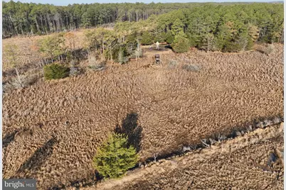 2373 Asquith Island Road, Crapo, MD 21626 - Photo 31