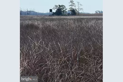 2373 Asquith Island Road, Crapo, MD 21626 - Photo 19