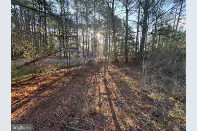 2525 Toddville Road, Toddville, MD 21672 - Photo 5