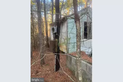 2525 Toddville Road, Toddville, MD 21672 - Photo 11