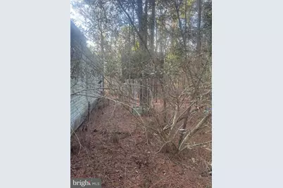 2525 Toddville Road, Toddville, MD 21672 - Photo 15